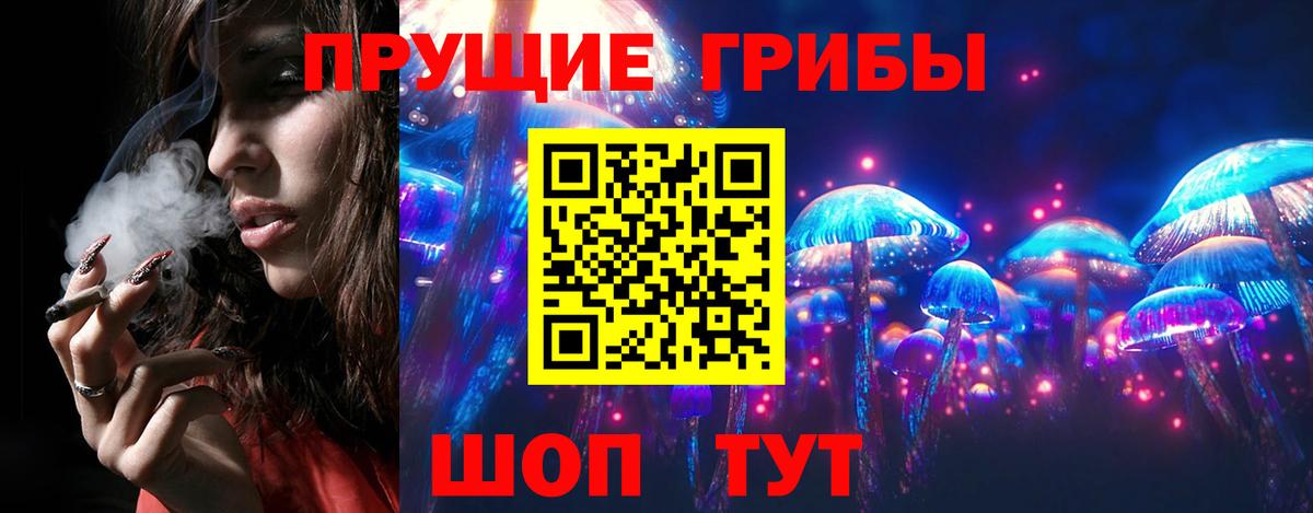 Галлюциногенные грибы Psilocybine cubensis Туапсе