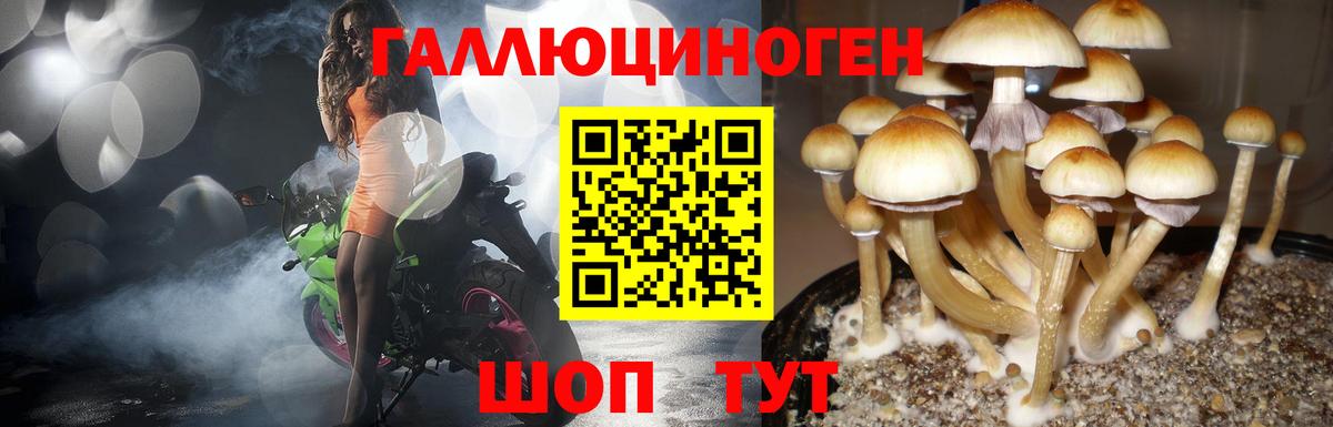 Псилоцибиновые грибы Psilocybine cubensis  Вход с VPN  Туапсе 
